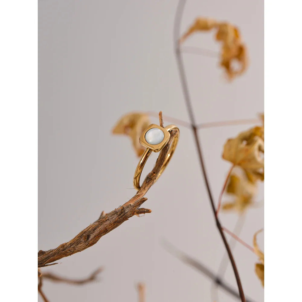 Anel Fino Concha Natural Ouro 18K